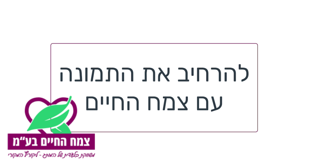 מיתוס הכולסטרול הרע