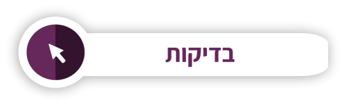 בדיקות.png